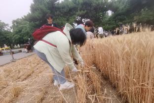 很魔鬼！火箭接下来五战对手：三战太阳两战雷霆